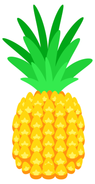 Enine kesitinin yanında bütün bir ananasın parlak çizimi ve yuvarlak bir dilim.
