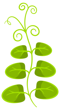 Olgun yeşil bezelye seti. Çiğ soya