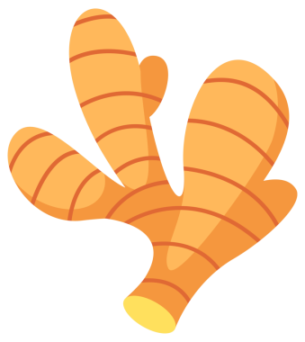 Taze zencefil kökü koyun. Beyaz arka planda vejetaryen yemeği.