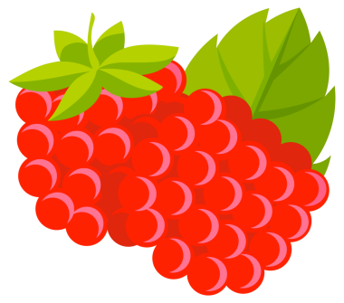 Tam ve bir dilim ahududu. Tatlı meyve. Ahududu