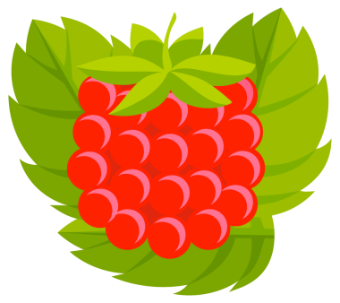 Tam ve bir dilim ahududu. Tatlı meyve. Ahududu