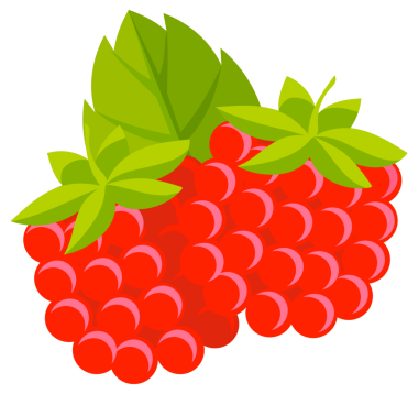 Tam ve bir dilim ahududu. Tatlı meyve. Ahududu