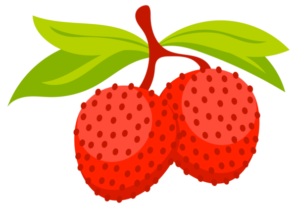 Lychee taze kırmızı seti. Tropikal meyve bütün ve kes