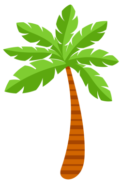 Tropical palm tree. Tropical coconut trees on white background