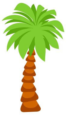 Tropical palm tree. Tropical coconut trees on white background