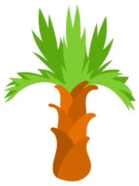 Tropical palm tree. Tropical coconut trees on white background