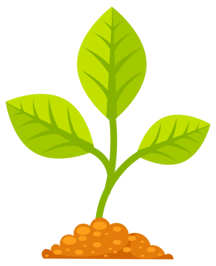 Tree grow with green leaf. Phases plant growing. Stages increase of finance in entrepreneurship