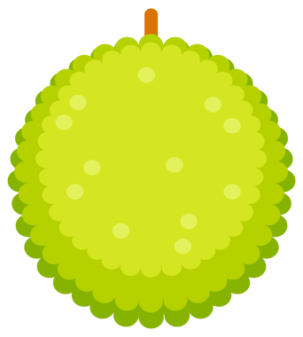 Tohum Kabuğu ve Fibröz Çekirdekli Jackfruit.