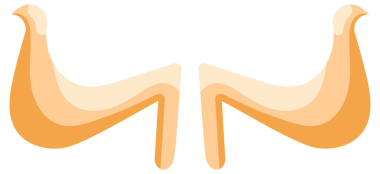 Çeşitli hayvan boynuzları koleksiyonu, genellikle güç ve güçle ilişkilendirilen eşsiz şekillerini ve dokularını sergiliyor..