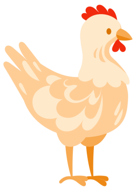 Çizgi filmde bir horoz, bir tavuk, iki civciv ve bir tavuk yumurtalı bir yuvada oturuyordu..