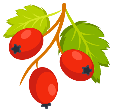 Botanik illüstrasyonunda dal, çiçek, yaprak ve Hawthorn bitkisinin böğürtlenleri görülüyor.