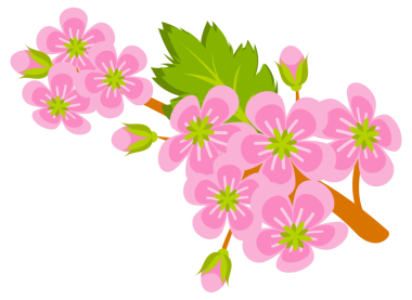 Botanik illüstrasyonunda dal, çiçek, yaprak ve Hawthorn bitkisinin böğürtlenleri görülüyor.