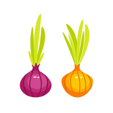 İki olgun soğan, biri kırmızı ve biri sarı, taze yeşil yapraklar filizlenir.