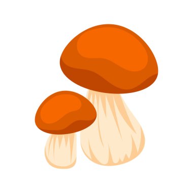 Turuncu başlıklı ve bej saplı iki yenilebilir mantar, beyaz arka planda izole edilmiş.