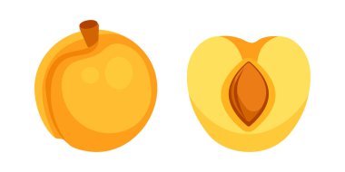 Tam ve yarı yarıya taze olgun kayısı meyvesi, tohumlu, beyaz arka planda izole.