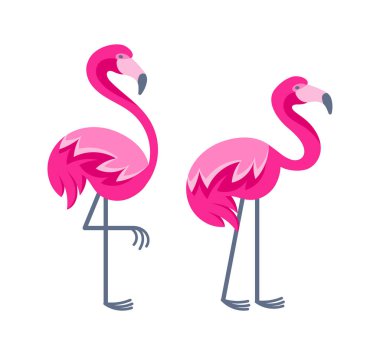 İki pembe flamingo bir bacağının üzerinde duruyorlar, canlı tüylerini ve uzun boyunlarını gösteriyorlar.