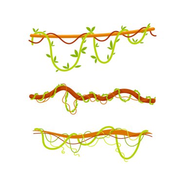Orman sarmaşıkları ve tropikal yağmur ormanları tırmanma tesisleri, beyaz arka planda izole edilmiş orman liana vektörü