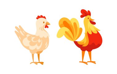 Tavuk ve horoz birlikte duruyor, kümes hayvanları ve çiftlik hayvanları kavramlarını sergiliyorlar.