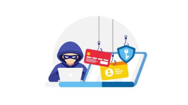 Hackerlar kişisel verileri, şifreleri ve kredi kartı bilgilerini çalıyorlar.