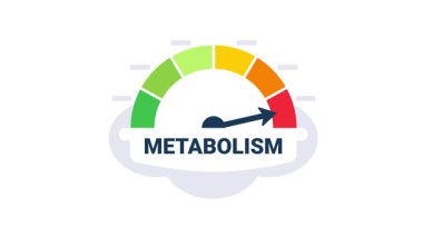 Renkli segmentler ve yüksek değerleri gösteren beyaz ve mavi arkaplanda izole edilmiş ok ile canlandırılmış metabolizma göstergesi