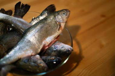 Taze alabalıklar kasede.