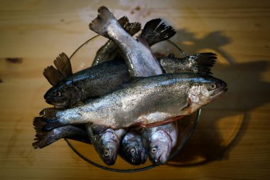 Taze alabalıklar kasede.