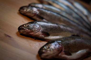 Tahtada taze alabalıklar.