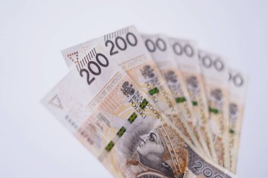 Polonya banknotları. Finansal planlar yapmak. 