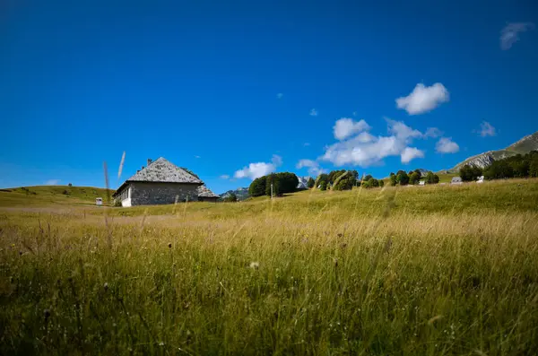 Yeşil çayır, mavi gökyüzü ve arkada küçük bir kulübe. Idyllic manzara. 