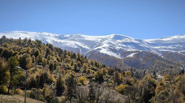 Kristal Parkı, Didveli, Bakuriani, Georgia