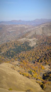 Koxta Dağı, Didveli, Bakuriani, Georgia