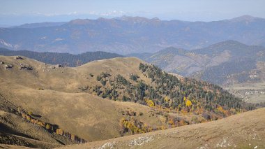Koxta Dağı, Didveli, Bakuriani, Georgia