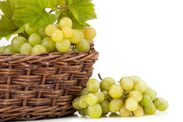 Fresh Grapes in Basket with Grape Seed Oil - Pure Elegance for Your Health | Premium Grape Products on White Background