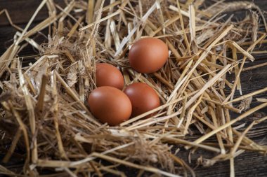 Paskalya süsü. Kırsal bir zeminde paskalya yumurtaları
