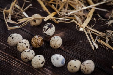 Paskalya süsü. Kırsal bir zeminde paskalya yumurtaları