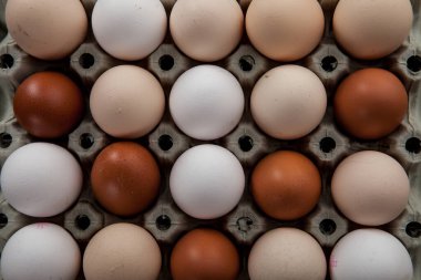 Paskalya süsü. Kırsal bir zeminde paskalya yumurtaları