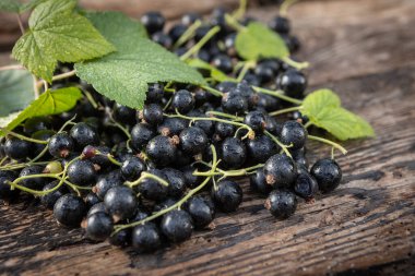Kara frenk üzümü. Tahta bir arka planda bahçede taze meyve..