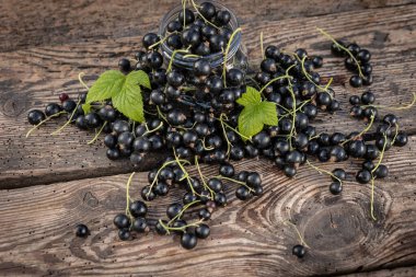 Kara frenk üzümü. Tahta bir arka planda bahçede taze meyve..