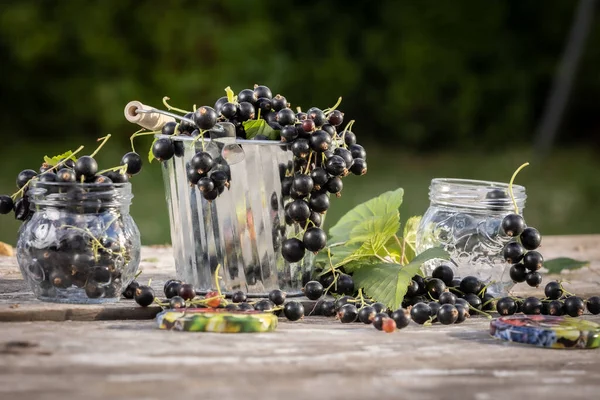 Kara frenk üzümü. Tahta bir arka planda bahçede taze meyve..