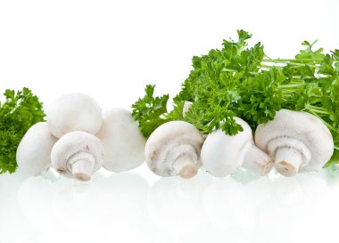 Şampiyonlar. Farklı taze mantar türleri.