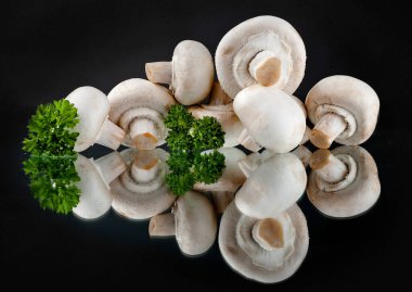 Şampiyonlar. Farklı taze mantar türleri.