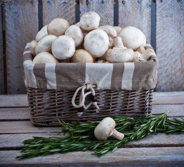 Şampiyonlar. Farklı taze mantar türleri.