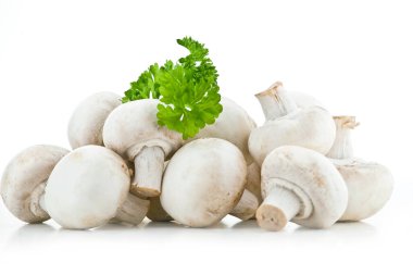 Şampiyonlar. Farklı taze mantar türleri.