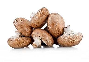 Şampiyonlar. Farklı taze mantar türleri.