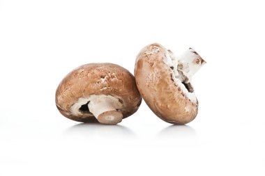 Şampiyonlar. Farklı taze mantar türleri.