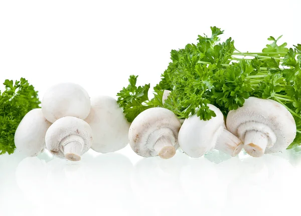 Şampiyonlar. Farklı taze mantar türleri.