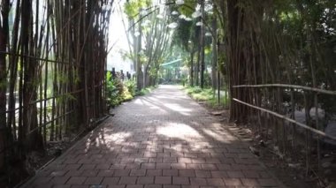 Güneşli bir Bahçede Serene Bambu Yolu