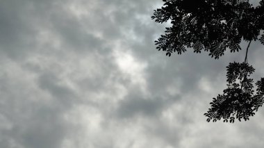 Tree silhouette against a cloudy blue sky clipart