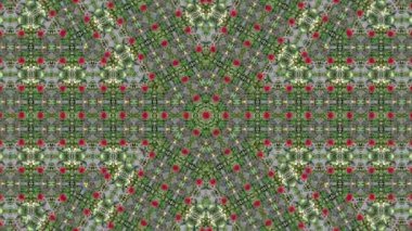 Merkezinde Rambutan meyvesinin canlı kırmızı rengini içeren soyut bir kaleydoskopik desen, yeşil renkli simetrik bir dizi ile çevrili.