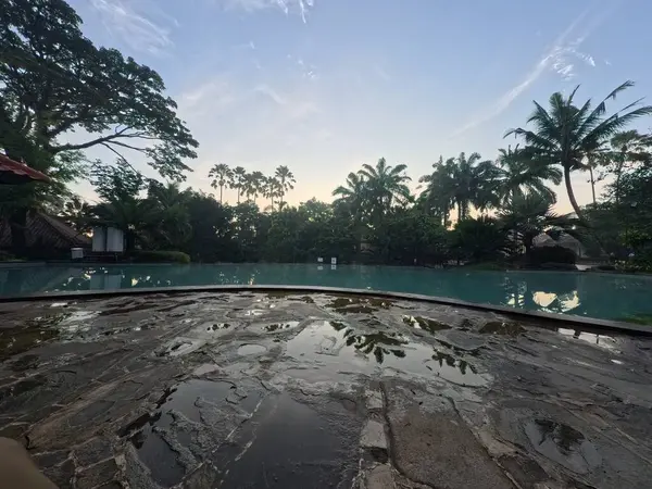 Sakin bir havuz şafak vakti palmiye ağaçlarını yansıtır. Huzurlu bir manzara, bir an için bir bina ve yemyeşil bir yer. Huzurlu ve davetkar.